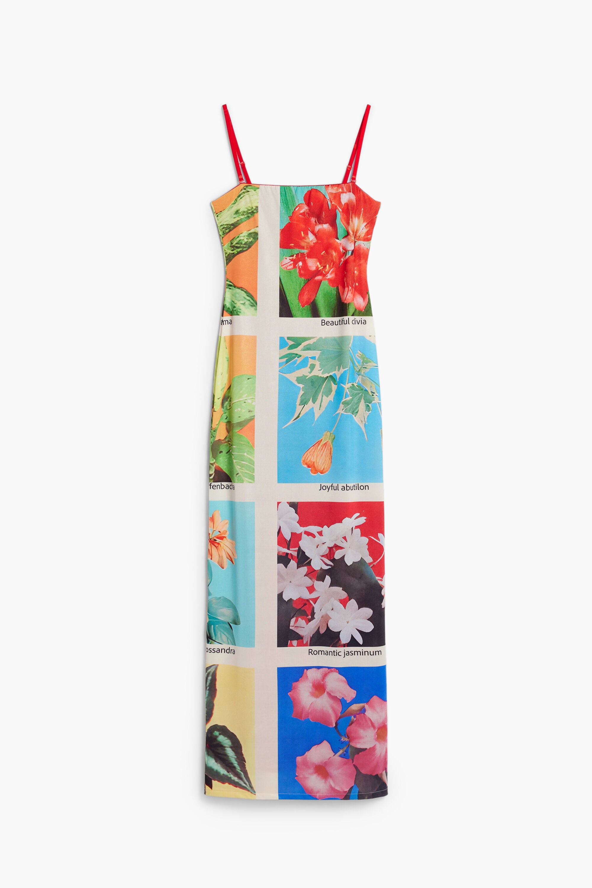 Spaghetti - Strap Plant Atlas - Printed Maxi Dress