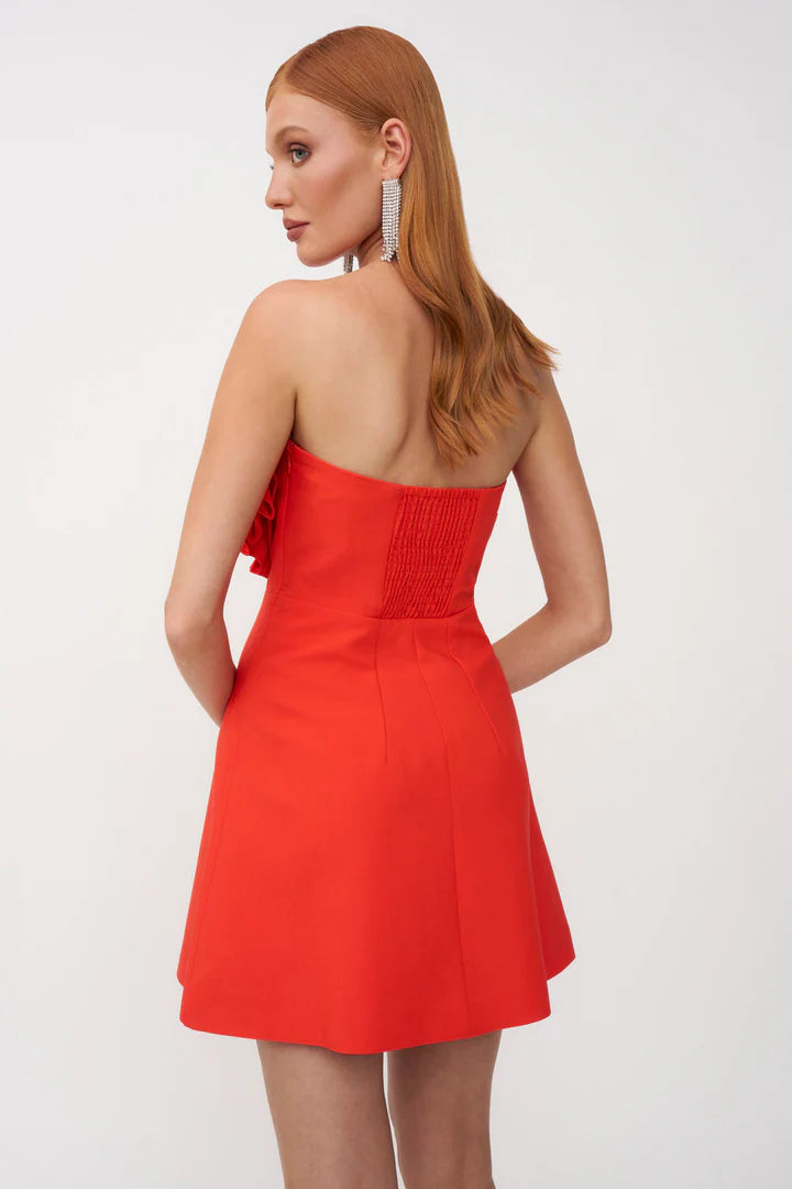 Strapless Heart - Shaped Ruffled Mini Dress
