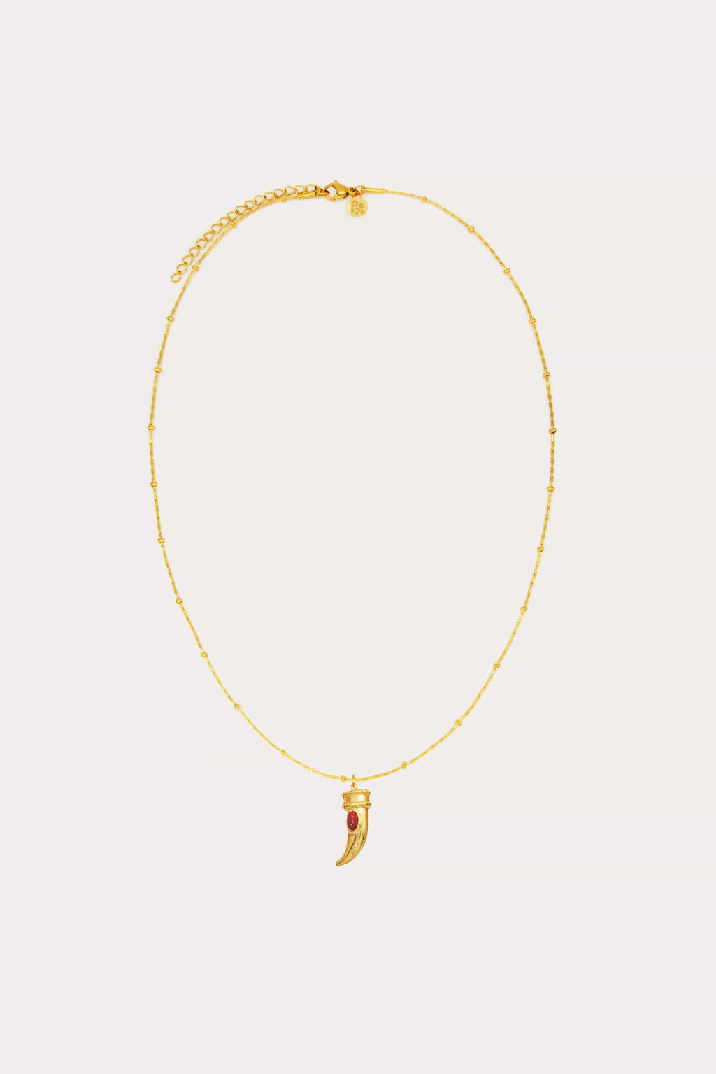 Horn Charm Necklace